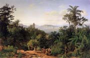 view of rio de janeiro by Thomas Ender